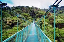 Monteverde Hanging Bridges Day Trip from San Jose