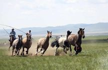 Overnight Semi-Gobi Tour with Nomadic HomeStay