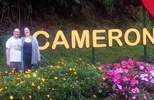 Cameron Highlands Sunrise Discovery 