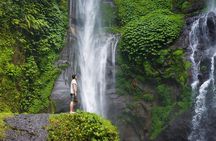 Bali Private Chartered Tour