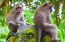 Bali Private Chartered Tour