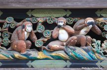Nikko World Heritage 1 Day Tour