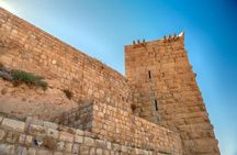 Private Tour Petra and Shobak Castle from Amman