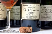 Cape Town: Winelands Private Half Day Tour