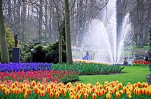Amsterdam: Half Day Guided Keukenhof Tulip Garden Tour