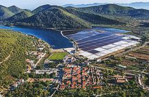 Dubrovnik: Ston wine and oyster tasting