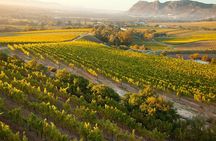 Cape Town: Winelands Private Half Day Tour