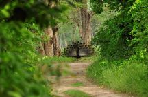 Kathmandu Pokhara & Chitwan Tour with Rafting -8 Days