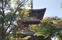 Private Tour - Thousands of lucky cats! Go by tram, Gotokuji Tour