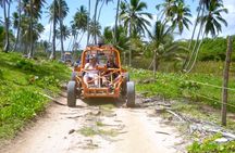 The Original Xtreme Buggy full day adventure! Small groups, VW engine!!