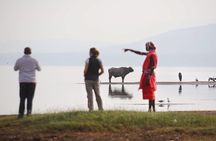 2-Day Flamingo & Rhino Safari at Lake Nakuru