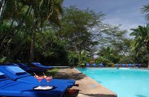2-Day Flamingo & Rhino Safari at Lake Nakuru