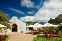 Cape Town: Winelands Private Half Day Tour