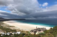 Private Day Tour to Cape Point , Penguins, Wine or Beer Tasting