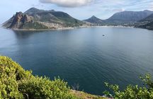 Private Day Tour to Cape Point , Penguins, Wine or Beer Tasting