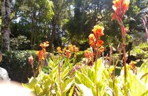 Excursion to Kiambethu Tea Farm