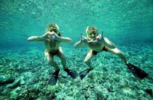 Molokini Snorkel and Performance Sail from Ma'alaea Harbor