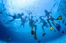 2.5 Hour Xpress Snorkel from Ka’anapali Beach