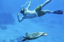 West Maui Half Day Snorkel from Ka’anapali Beach
