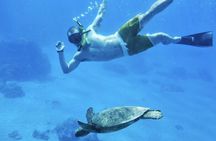 2.5 Hour Xpress Snorkel from Ka’anapali Beach