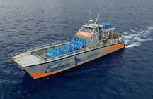 Molokini & Turtle Adventure: Small Group from Ma'alaea Harbor