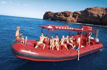 Molokini Crater Adventure from Kihei