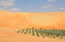 Liwa Full Day Desert Safari from Abu Dhabi