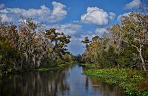 Small-Group Bayou Airboat Ride with Transport from New Orleans