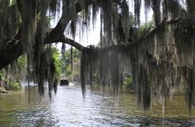 Small-Group Bayou Airboat Ride with Transport from New Orleans