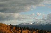 DIY Yukon Tour