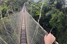 2-Day All Inclusive Guided Jungle Tour from Iquitos at Maniti Eco-Lodge