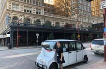 Private Sightseeing Cart Tour of Houston