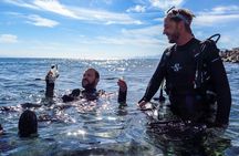 Refresh Dive for Certified Divers