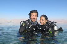 Refresh Dive for Certified Divers