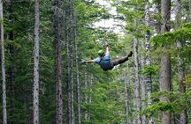 Grizzly Falls Ziplining Expedition