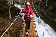 Grizzly Falls Ziplining Expedition