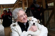 Sled Dog Discovery in Juneau