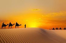 ROYAL VIP DESERT SAFARI , VIP Lounge Bbq Dinner All Inclusive 
