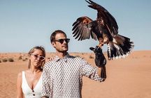 ROYAL VIP DESERT SAFARI , VIP Lounge Bbq Dinner All Inclusive 