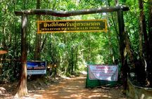 Half-Day Jungle Tour Including Crystal Pool and Krabi Hot Springs