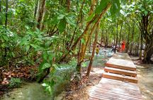 Half-Day Jungle Tour Including Crystal Pool and Krabi Hot Springs