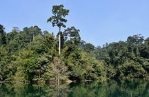 Full-Day Tour to Cheow Lan Lake in Khao Sok National Park from Krabi
