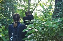 Chitwan National Park Jungle Safari Tour Package from Kathmandu