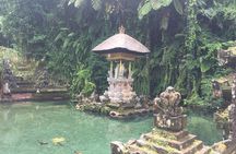 Best of Bali Private Shore Excursions