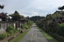 Best of Bali Private Shore Excursions