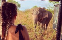 4 Day Tour to Kandy Nuwara Eliya Ella & Udawalawe Safari From Negombo