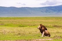 Day tour to Amboseli national park