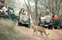 Golden Triangle Tour With Safari ( Ranthambore )8 Days Tour.