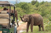 Day tour to Udawalawe from Colombo