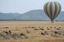 5 Days Best Of Kenya Safari